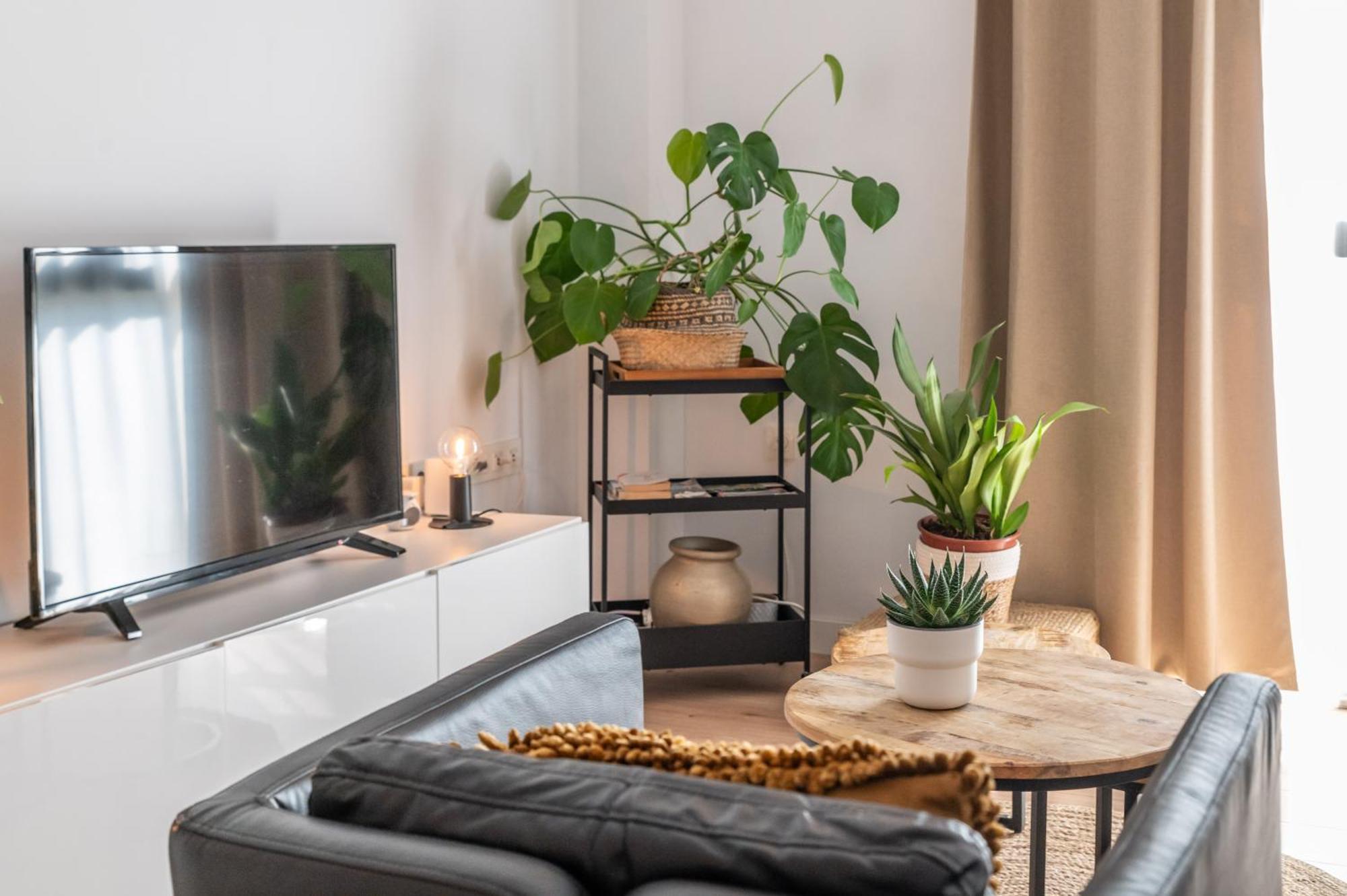 Urban Chic Loft Malaga City Center Exteriör bild